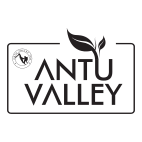 Antu Valley-01